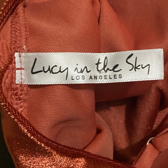 Lucy In The Sky Rust Velvet Mini Dress - Picture 8 of 9